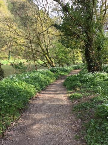 Riverside Stay Gunnislake 外观 照片