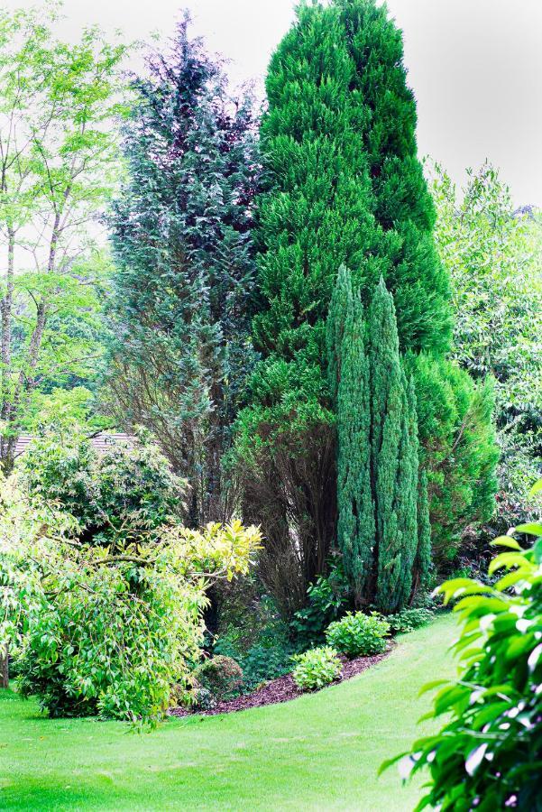 Riverside Stay Gunnislake 外观 照片